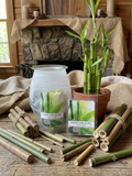 Bamboo Rain
